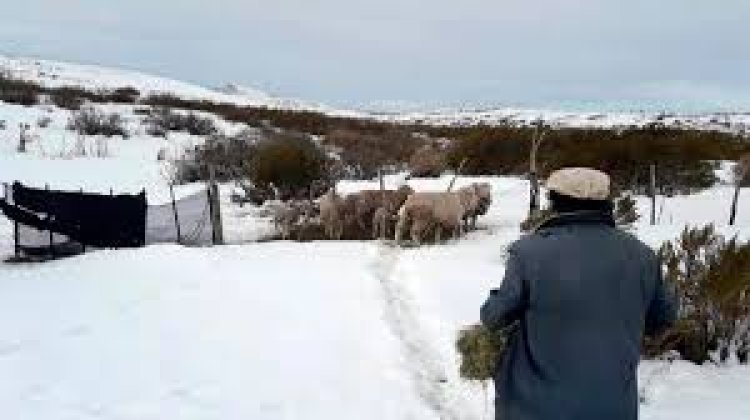 Maquinchao, el pueblo más frío del país: -18°, agua congelada y leña a precios imposibles