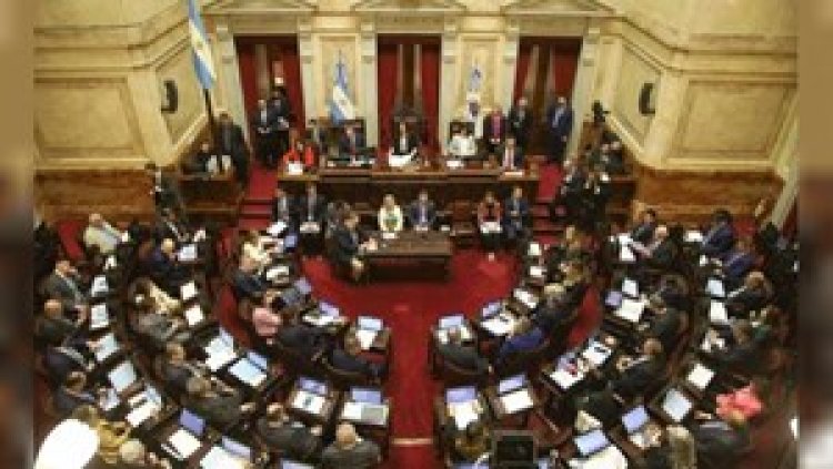El Senado debatirá el rechazo del veto a Discapacidad y reforma de los DNU