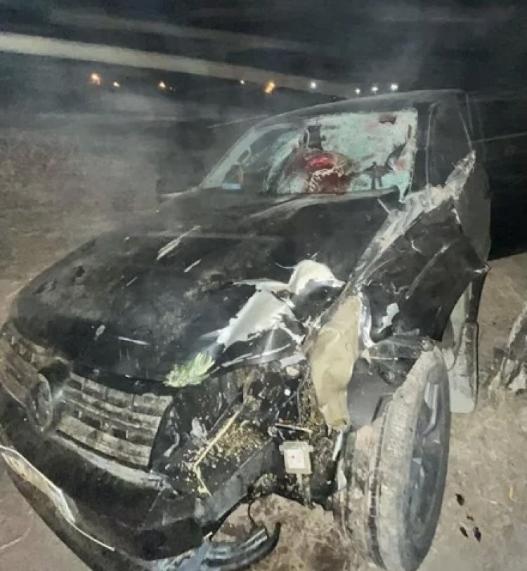 Una camioneta atropelló a un caballo en plena Ruta 40 y dejó varios heridos