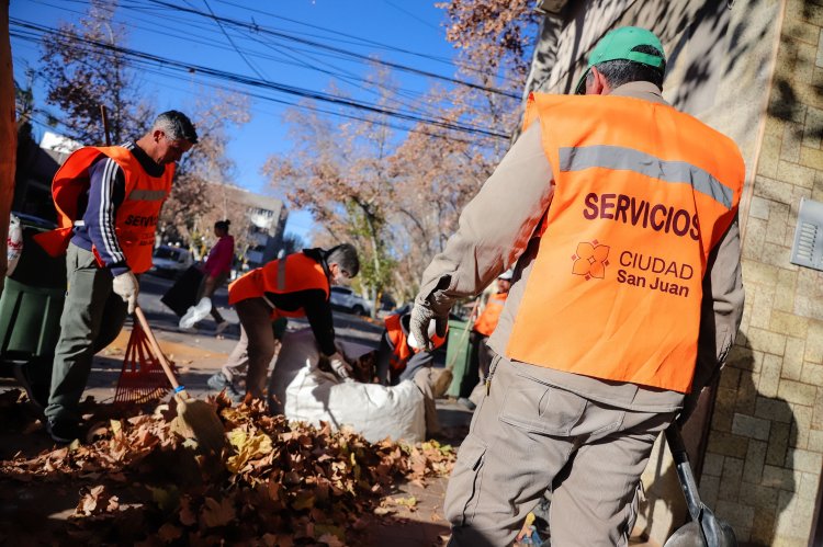 Continúa el operativo de poda y limpieza en distintos barrios