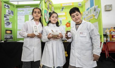 Feria de Ciencias: 122 proyectos avanzaron a la instancia provincial