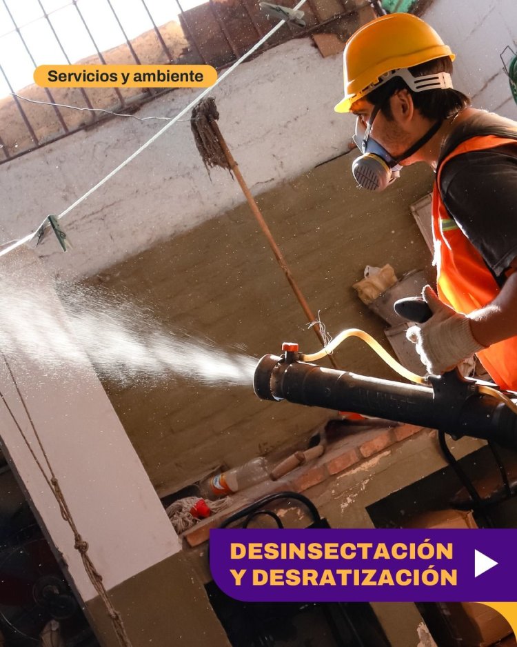 Continúa el operativo de Desinsectación y Desratización en la Ciudad de San Juan