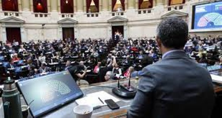 Diputados aprobó el rechazo al veto a la emergencia en Discapacidad