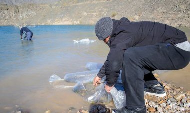 Ambiente repuebla el Dique Punta Negra con 520 pejerreyes juveniles