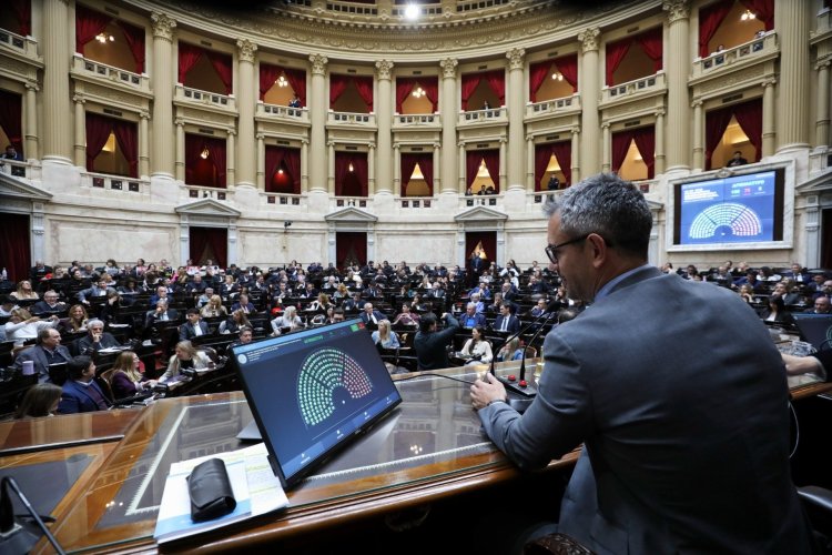 Diputados rechazó los vetos a la Emergencia del Garrahan y al Financiamiento Universitario