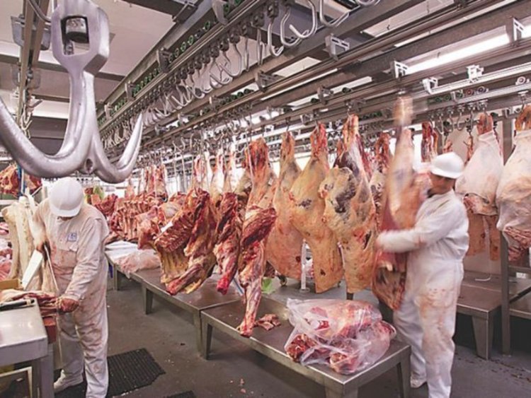 Las exportaciones de carnes seguirán sin retenciones hasta el 31 de octubre