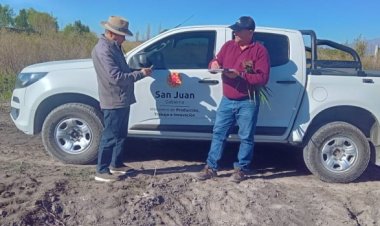 Culminó la fiscalización de cultivos de semillas en el Valle de Tulum