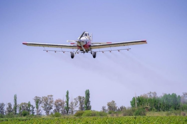 San Juan inicia la campaña aérea para combatir la polilla de la vid