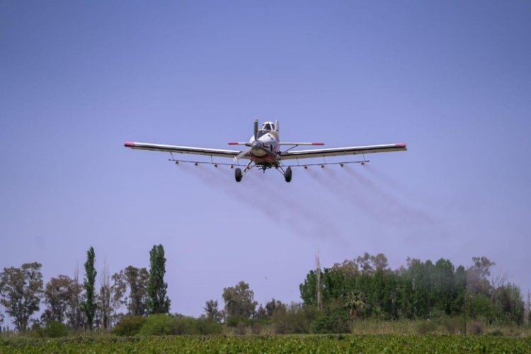 San Juan refuerza la lucha contra la polilla de la vid con nuevas aplicaciones aéreas