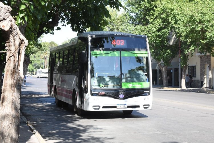 Elecciones: cómo funcionarán los colectivos en San Juan