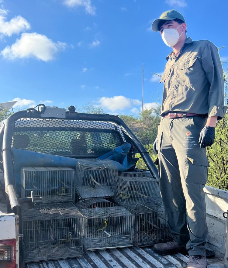Se realizó un nuevo operativo de rescate y liberación de aves