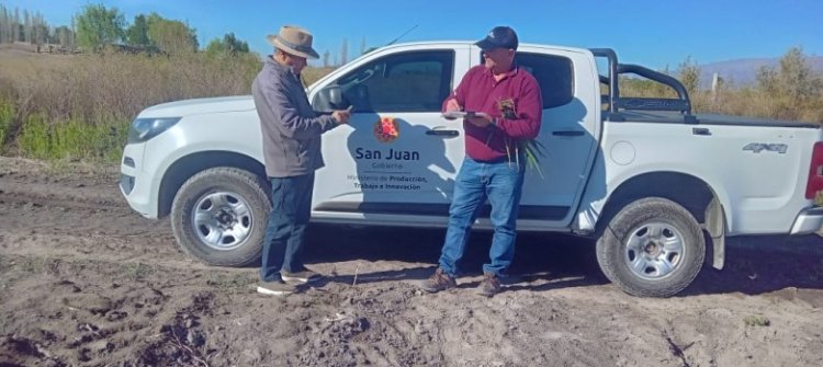 Culminó la fiscalización de cultivos de semillas en el Valle de Tulum