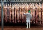 Por la mejora del precio internacional, las exportaciones de carne subieron casi 40%