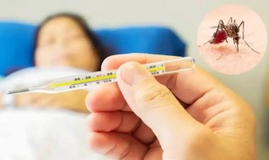 Salud recuerda las acciones contra el mosquito transmisor del dengue