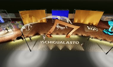 Un viaje por los destinos más fascinantes de San Juan en la FNS