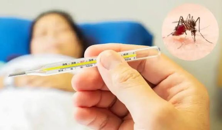 Salud recuerda las acciones contra el mosquito transmisor del dengue