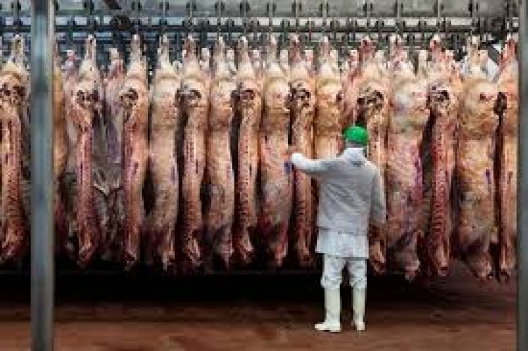 Por la mejora del precio internacional, las exportaciones de carne subieron casi 40%
