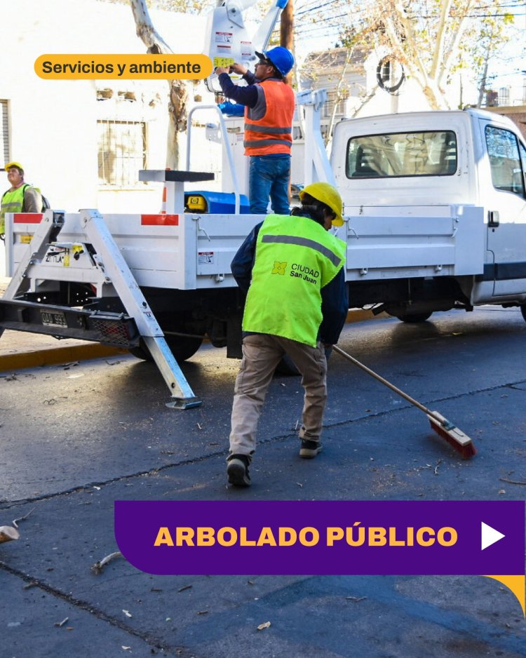 Operativo de arbolado público en distintos barrios de Capital