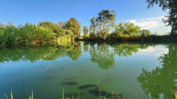 Nuevos horarios de visita en el Parque de la Biodiversidad
