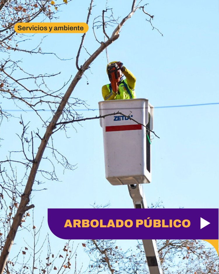 Operativos de Arbolado Público en toda la Ciudad