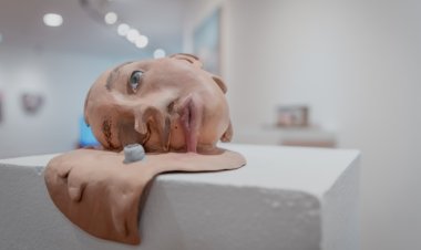 El Museo Franklin Rawson inauguró el último bloque expositivo del año
