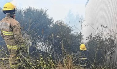Alerta en Bariloche por un incendio forestal que empezó en la ladera del cerro Runge
