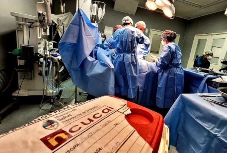 Argentina superó la cifra histórica de donantes de órganos y de trasplantes realizados en el país