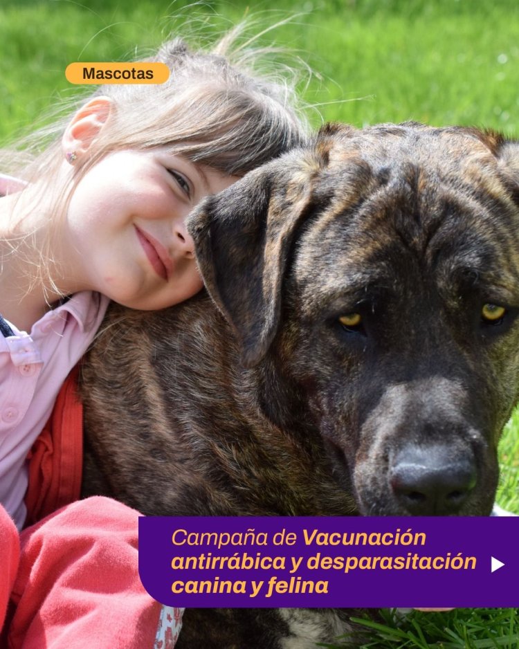 Nueva jornada de vacunación antirrábica y desparasitación para perros y gatos en la Ciudad