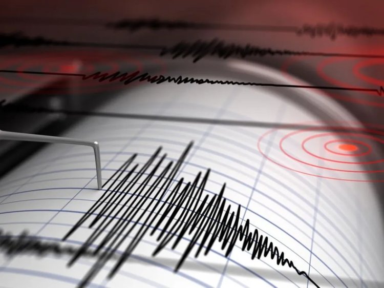 Un fuerte sismo se registró en la madrugada sanjuanina