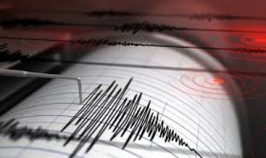 Fuerte sismo se sintió en la mañana del jueves