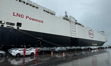 Llega un barco con más de 5.000 autos chinos