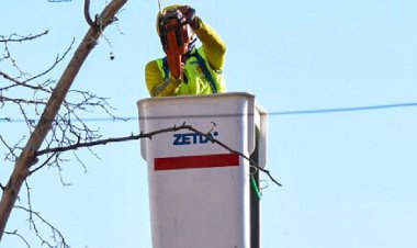 La Municipalidad refuerza las tareas de arbolado público en Capital