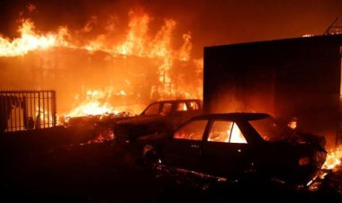 Incendios forestales en Chile: ya son 16 las personas fallecidas