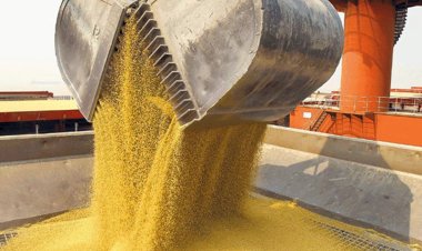 Preocupación de la agroindustria por una letra chica incluida en el acuerdo entre el Mercosur y la UE