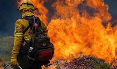 El fuego no da tregua y se reactivaron focos en el Parque Nacional Los Alerces