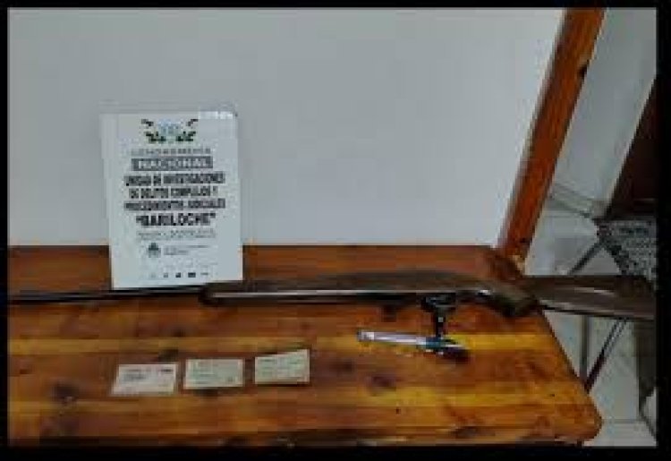 Faenaron un guanaco en el Nahuel Huapí y deberán pagar $6 millones