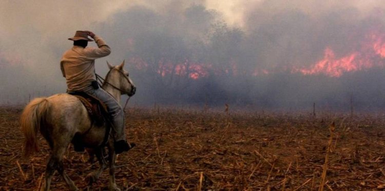 El Banco Nación lanza créditos especiales para productores afectados por los incendios