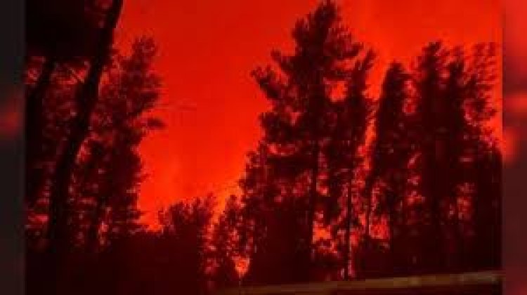 Acusan a Milei de “desfinanciar” el Servicio Nacional del Manejo del Fuego