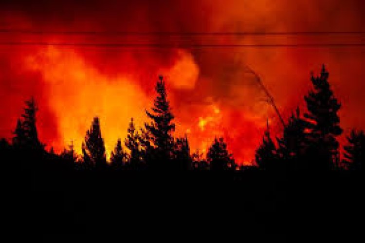 Emergencia en la Patagonia: de qué se trata la campaña nacional para asistir a los bomberos