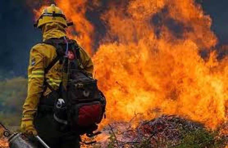 Peligro de incendios forestales: el 60% del país está en riesgo extremo por el calor