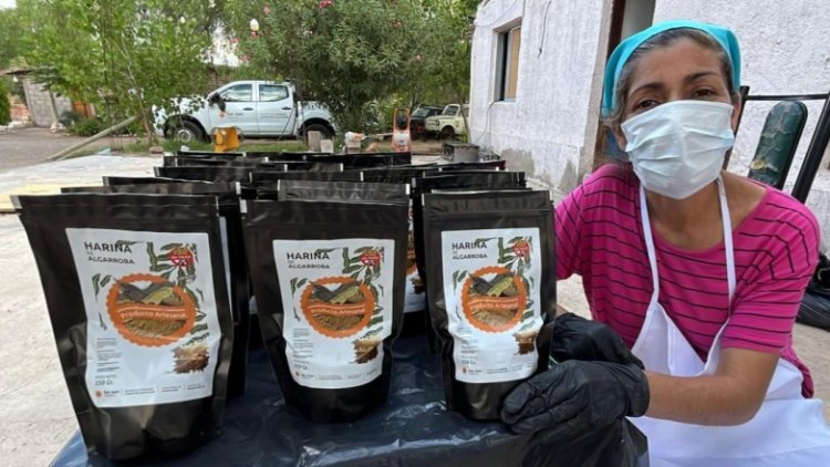 Fortalecen el uso sustentable del bosque nativo con la producción de harina de algarroba