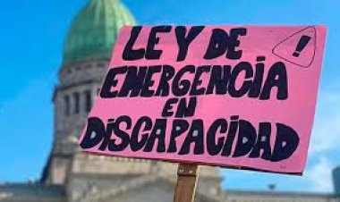 Milei reglamentó, con cambios, la Ley de Emergencia en Discapacidad