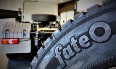 Cierra Fate y despide a 920 trabajadores