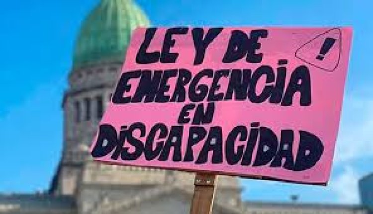 Milei reglamentó, con cambios, la Ley de Emergencia en Discapacidad