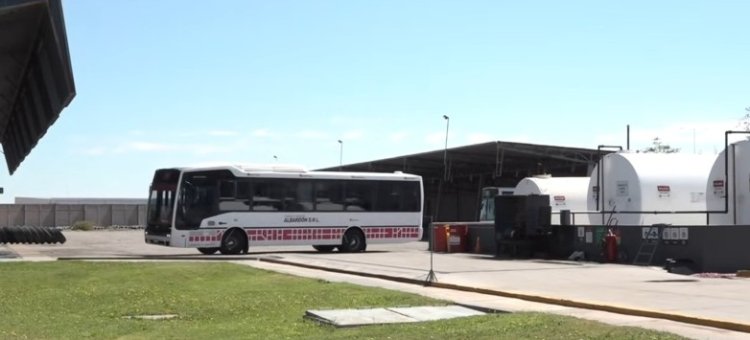 Desarrollan un software innovador para el transporte público