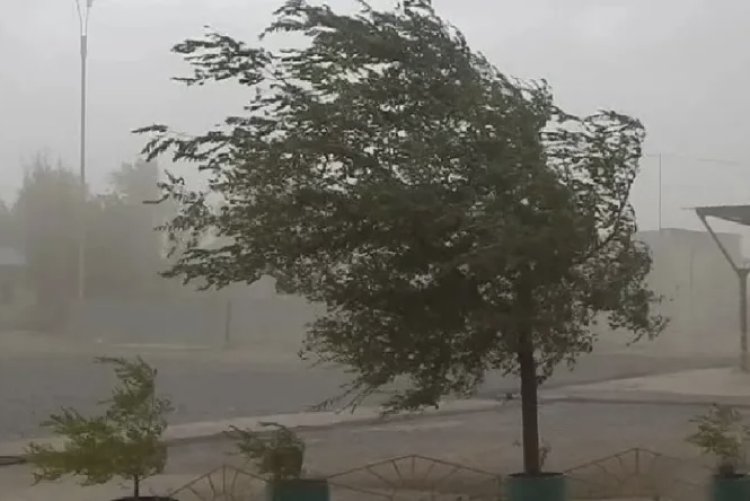 Viento sur intenso y leve descenso de la temperatura en San Juan