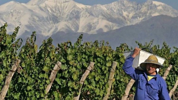 El Gobierno adelantó los créditos de cosecha y acarreo y ya hay solicitudes aprobadas