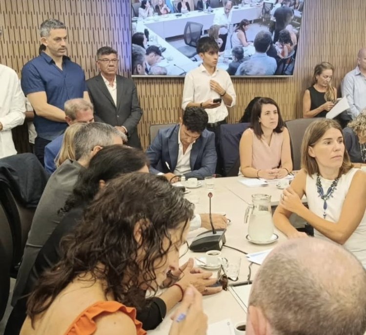 Ley Penal Juvenil: este miércoles se dictamina en Diputados y el jueves se vota en el recinto