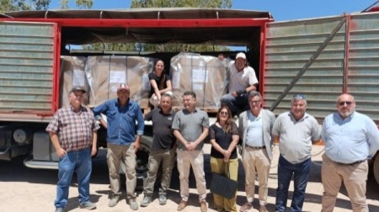 Jáchal logró la primera exportación de semillas de cebolla a Holanda