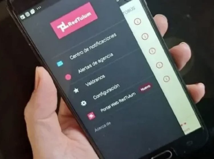 Cuánto se ahorrará la provincia tras la salida de la app de la Red Tulum
